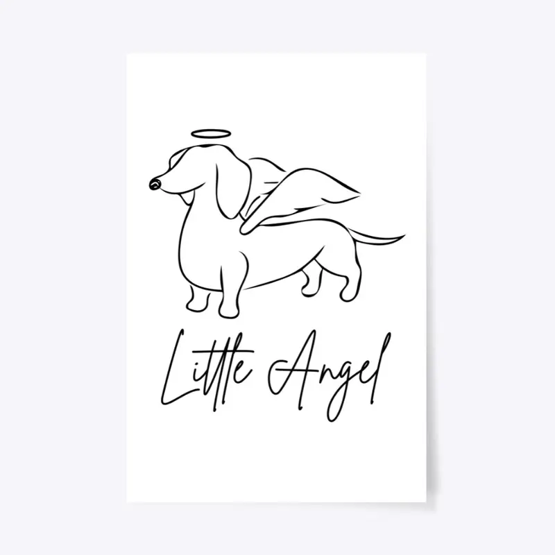 Little Angel Dachshund